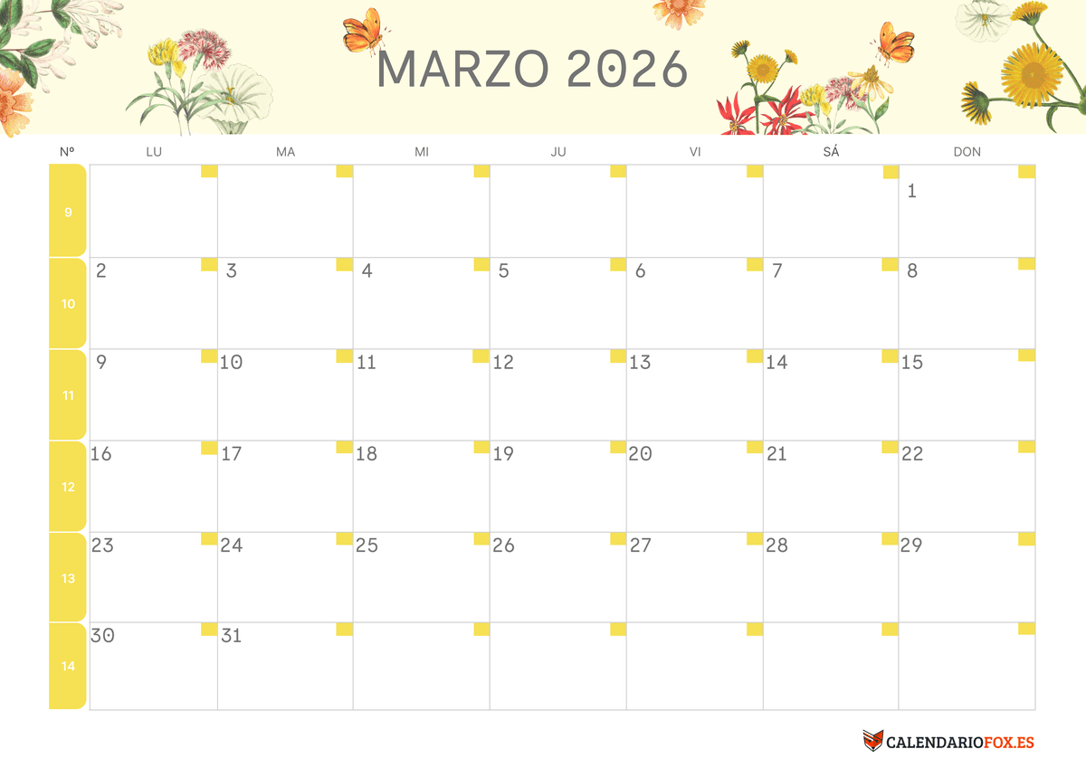 Flor de Magnolia Grandiflora