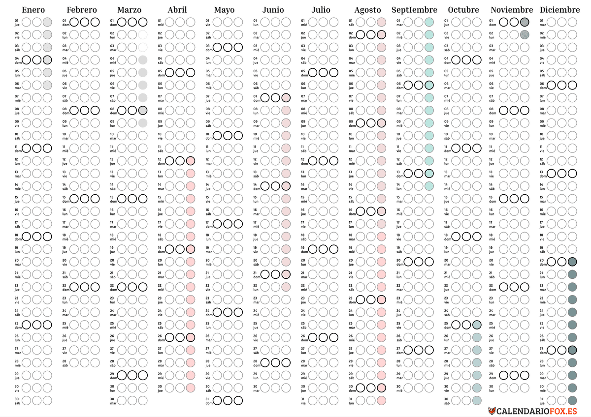 Planificador anual tipo bullet journal