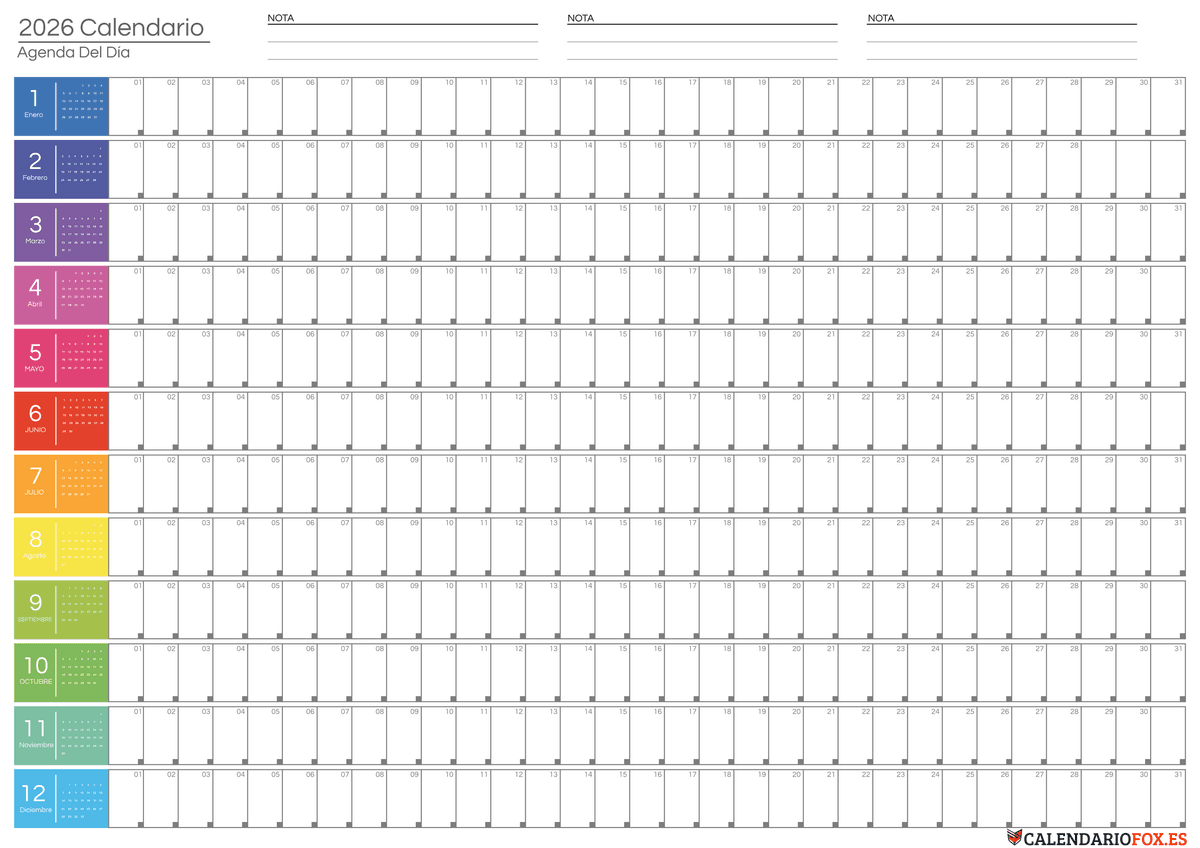 Planificador anual de 12 colores vivos