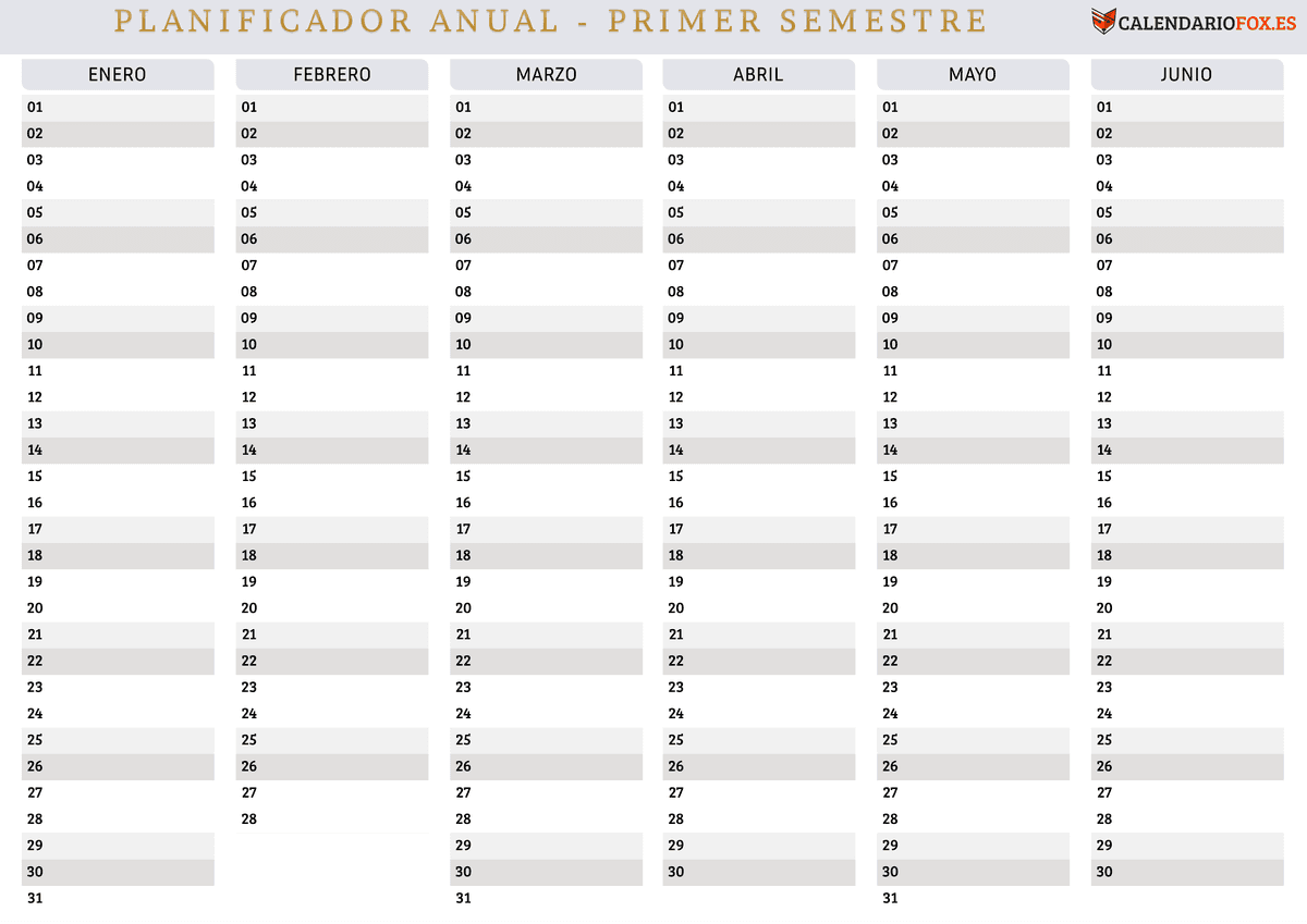 Gris minimalista – primer semestre