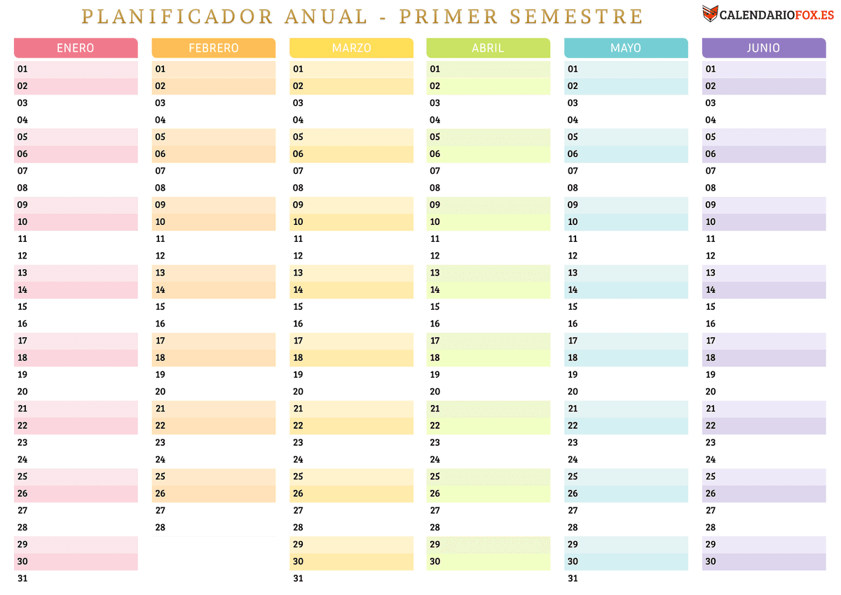 Colorido – primer semestre