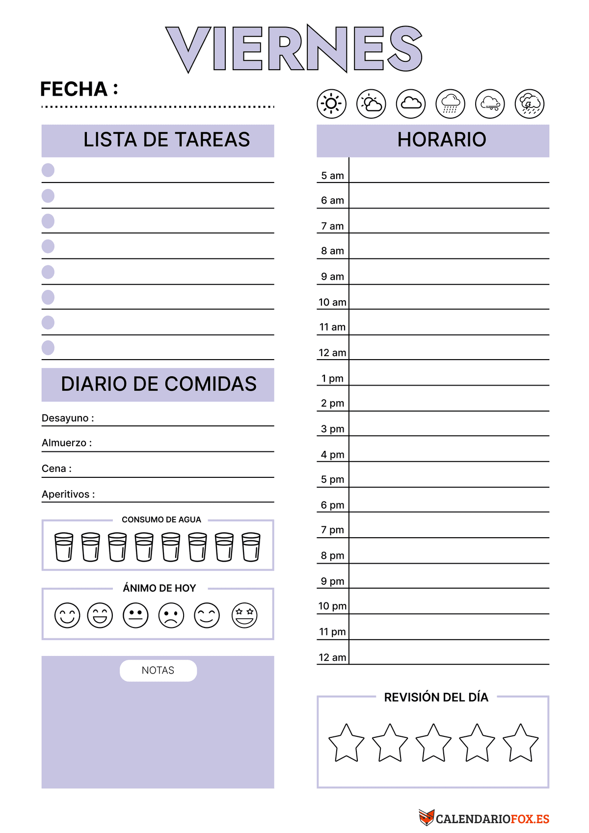 Planificador Diario Viernes